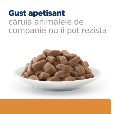 Hill’s Prescription Diet K/D + Mobility cu Pui Pisici 1.02kg