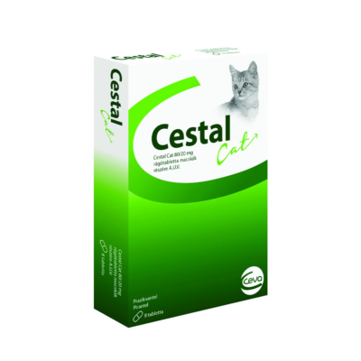 Cestal cat 80/20mg-cpr.mast. x 8