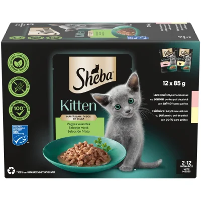 Sheba Kitten Hrană Umedă Somon Pui Sos Pisici 12x85g